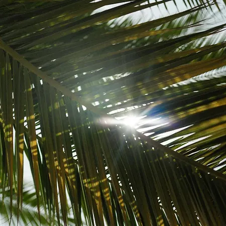 Verlaine Ξενοδοχείο